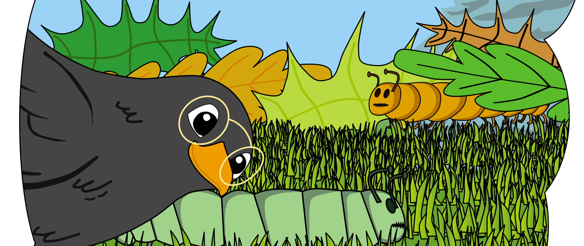 Część 4 – Ptasia paczka i marzenie bażanta Błażeja